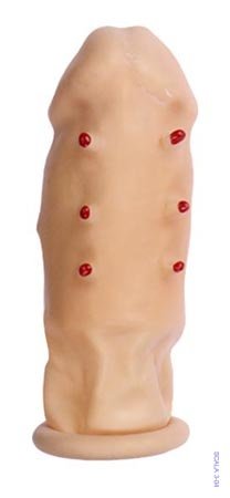      6 ,      6 